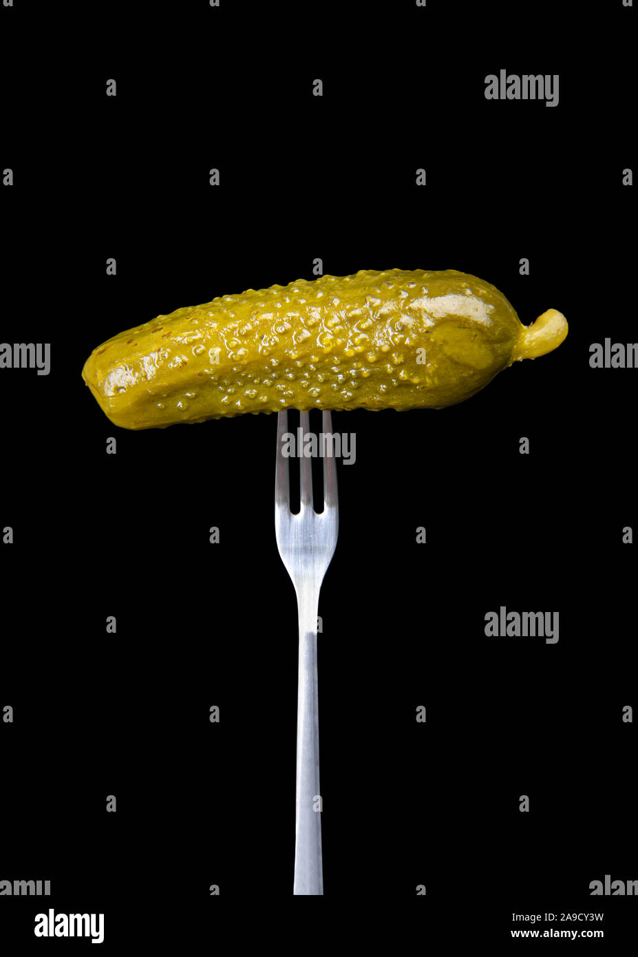 Single pickle on a fork Stock Photo
