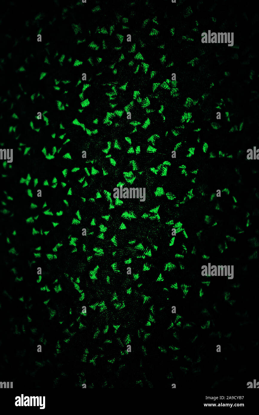 dark green background texture for design Stock Photo