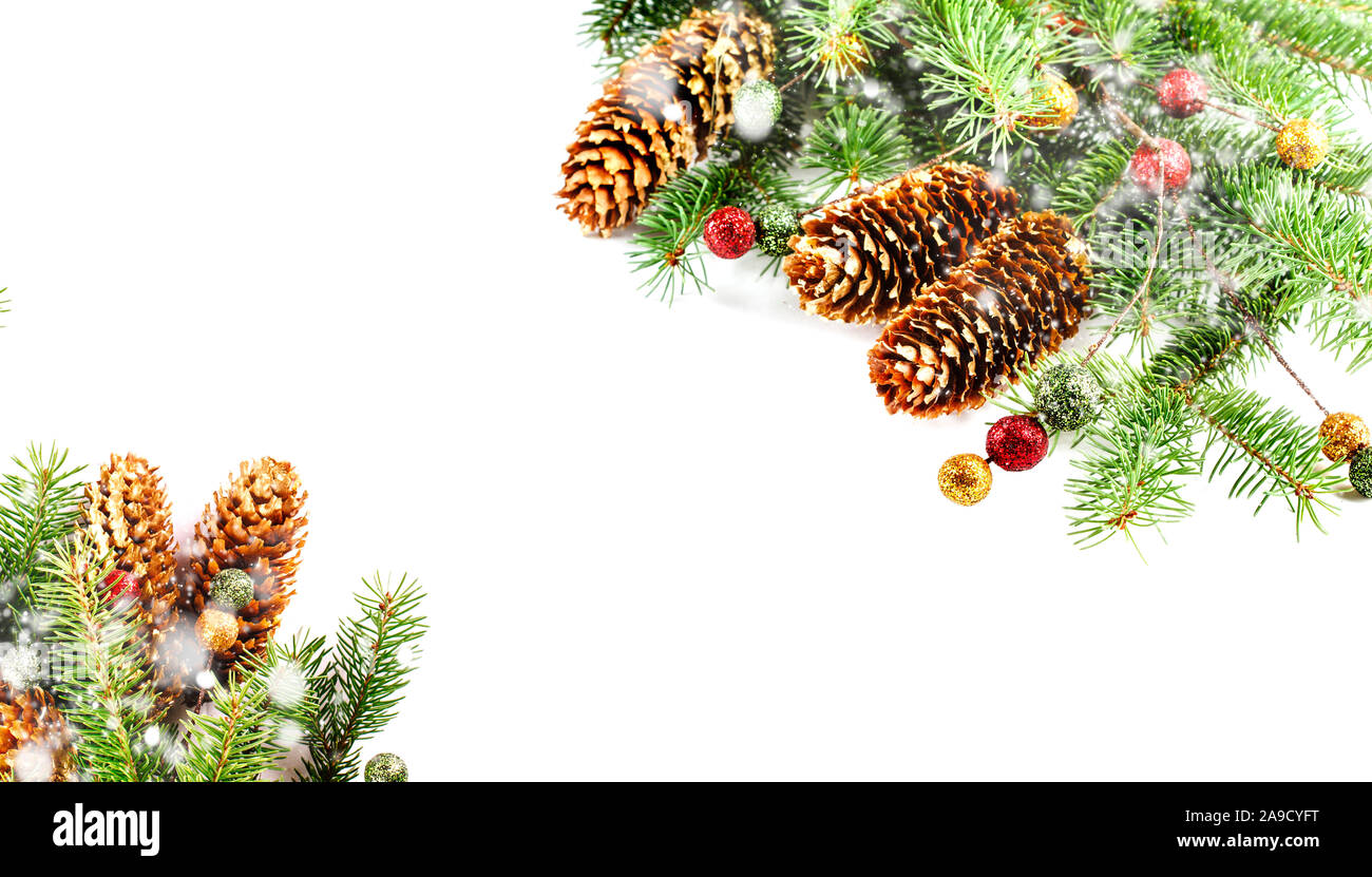 Christmas background with spruce branches and pine cones on white ...