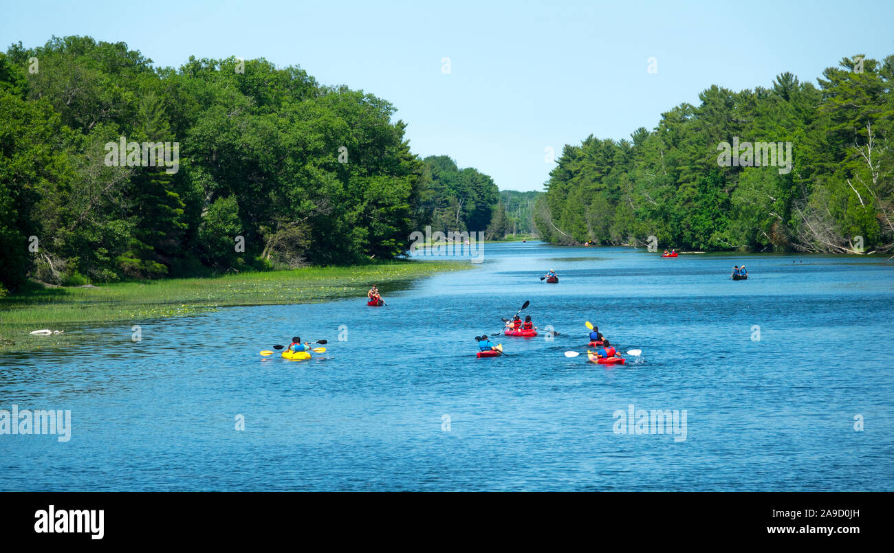 Recreational kayak and canoe boaters on the Au Sable River in the Pinery Provincial Park near