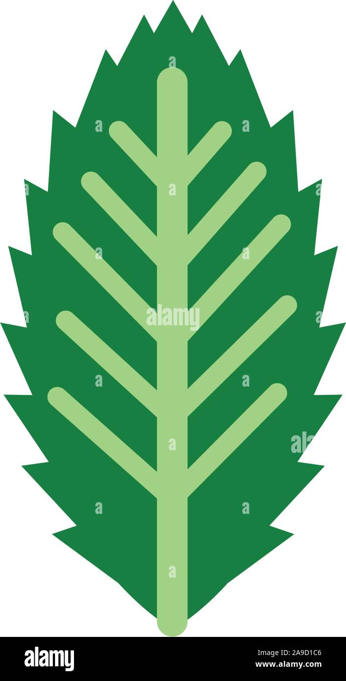 ornate foliage nature leaf icon flat vector illustration Stock Vector ...