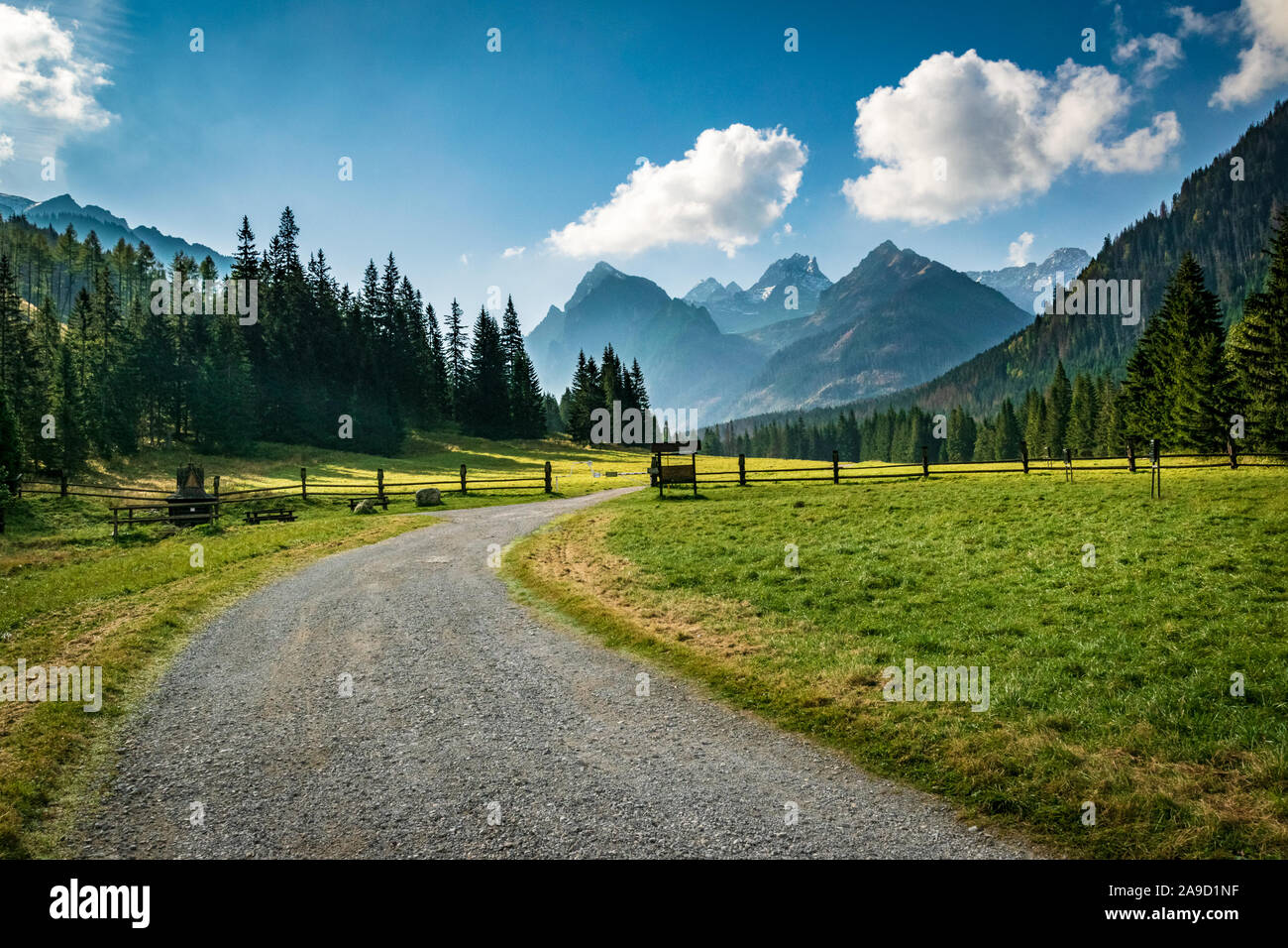 Road in the White Water valley Bielovodska Dolina in High Tatra mountains, Slovakia, Europe Stock Photo