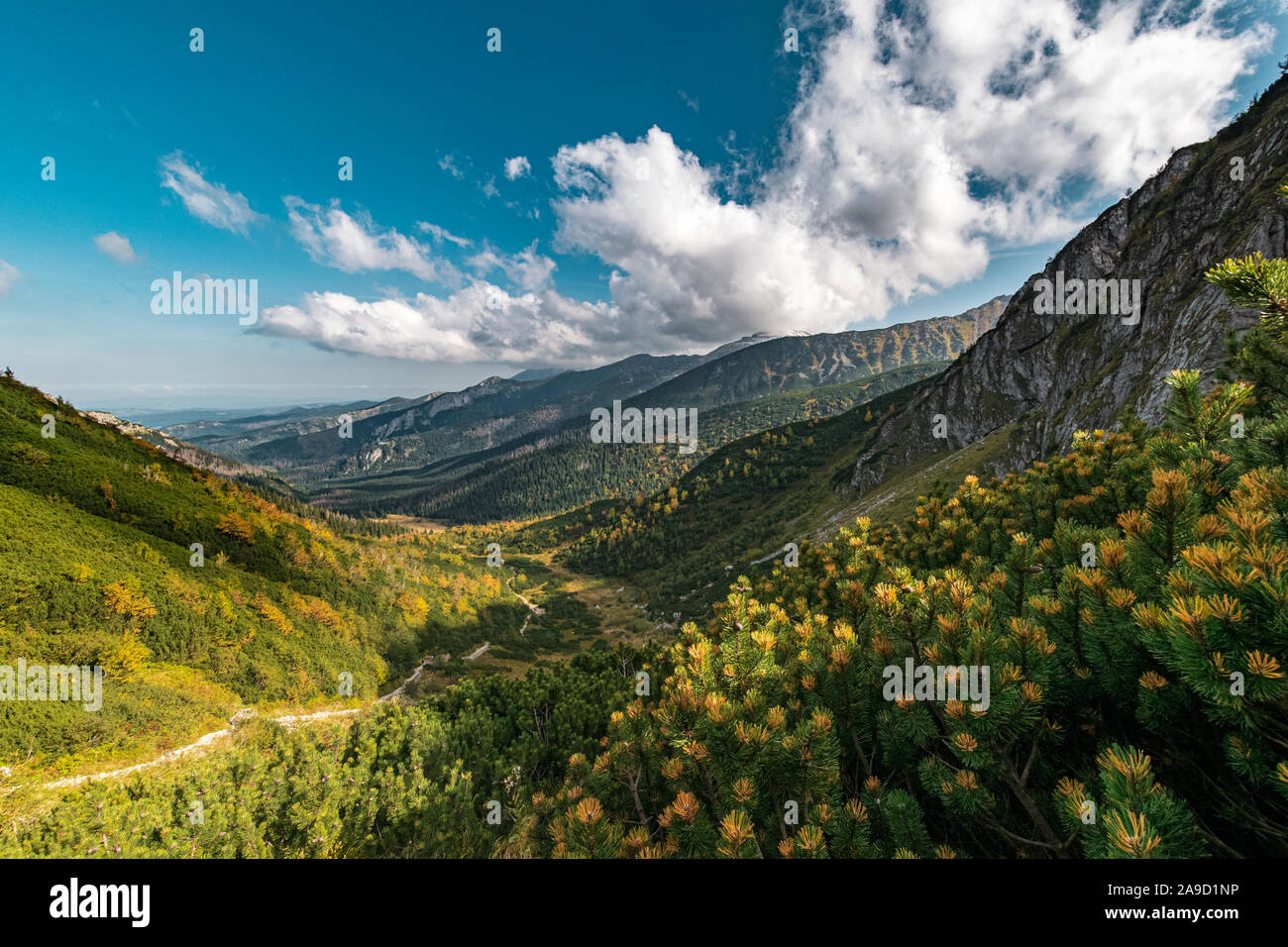 Autumn in Western Tatras, Poland Stock Photo