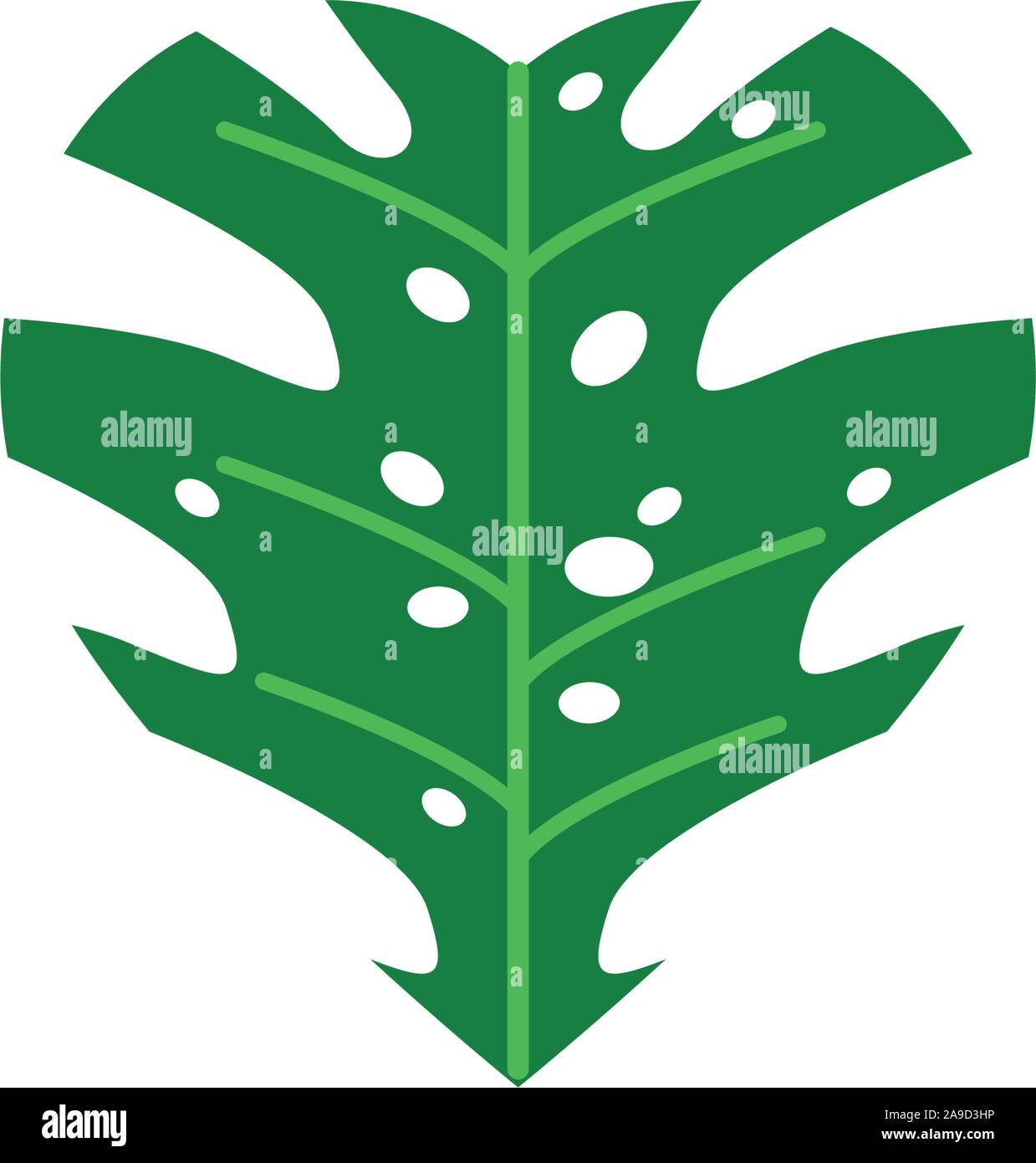 monstera tropical foliage nature leaf icon flat vector illustration ...