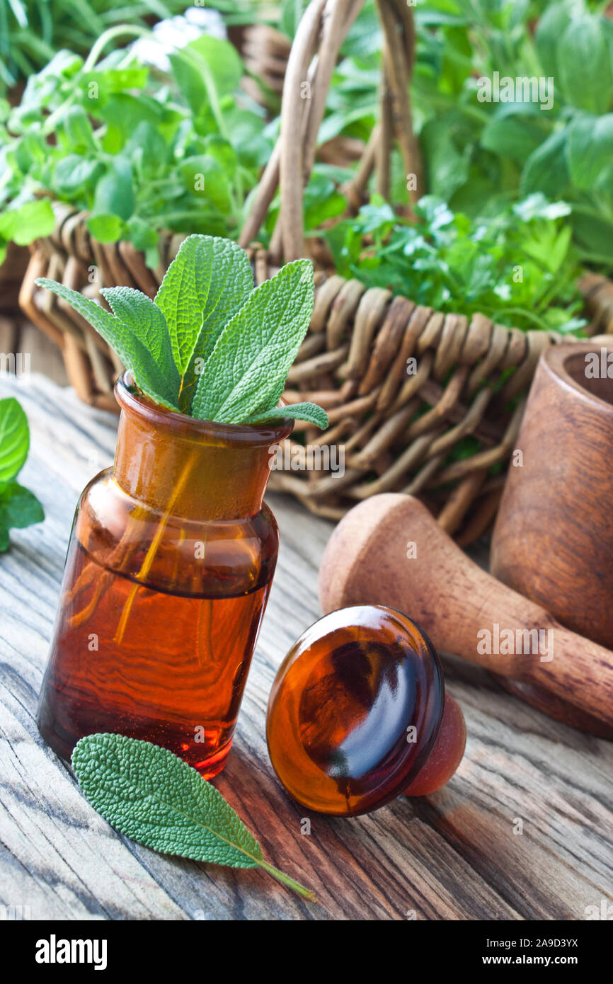 Sage oil herbal medicine Stock Photo Alamy