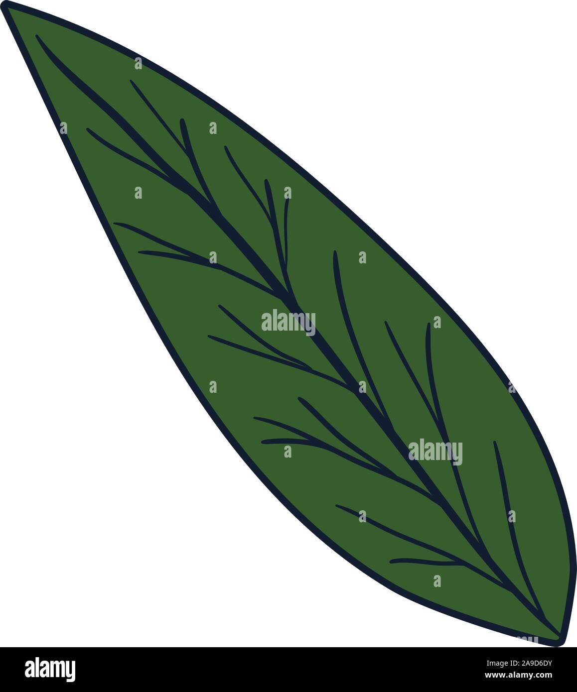 Isolated autumn leaf vector design Stock Vector Image & Art - Alamy