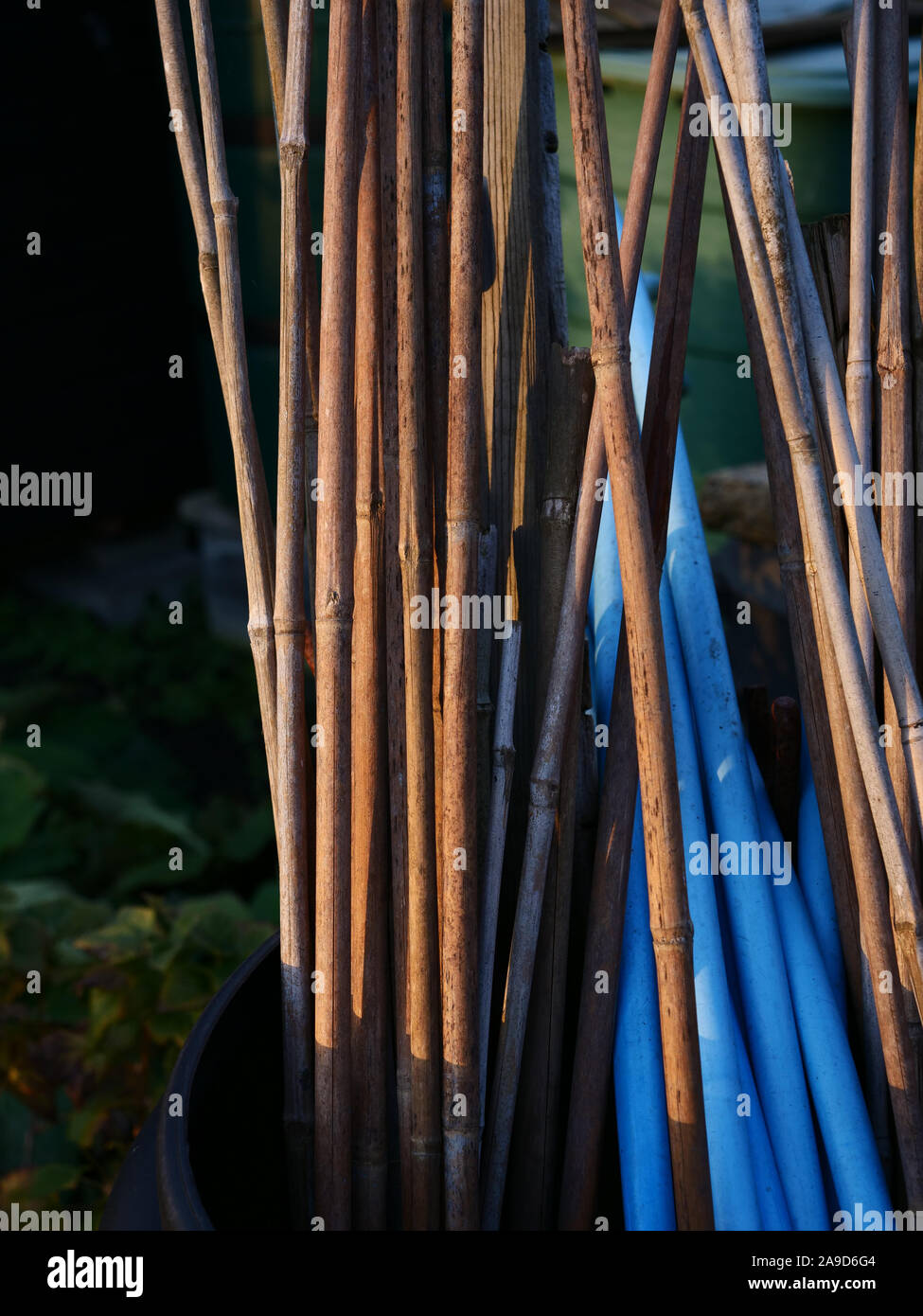 Bamboo canes and blue plastic water pipe cut into pieces seen in a