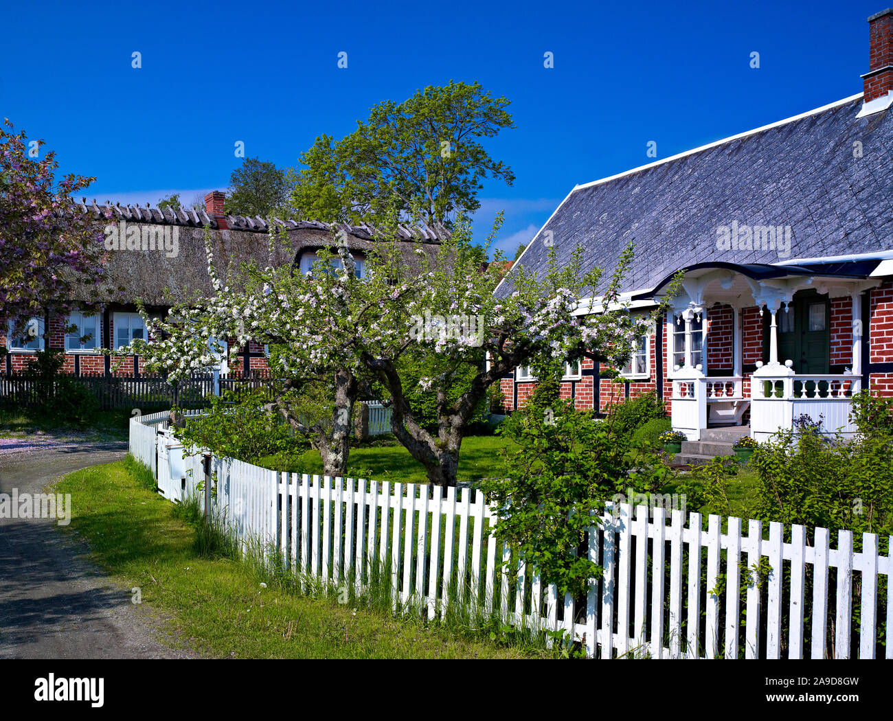 Sweden, Scania, Österlen, Kivik, half-timbered house with white garden ...