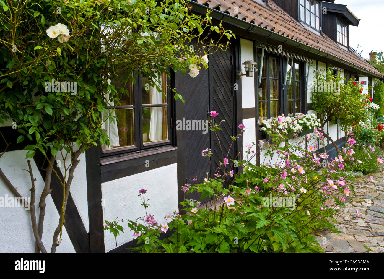 Kivik scania sweden hi-res stock photography and images - Alamy