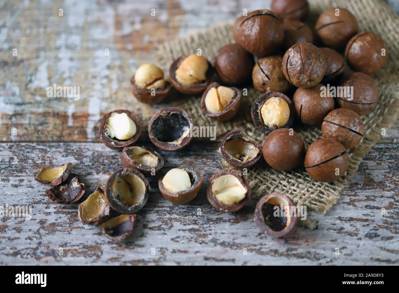 Hardest nut shell hires stock photography and images Alamy