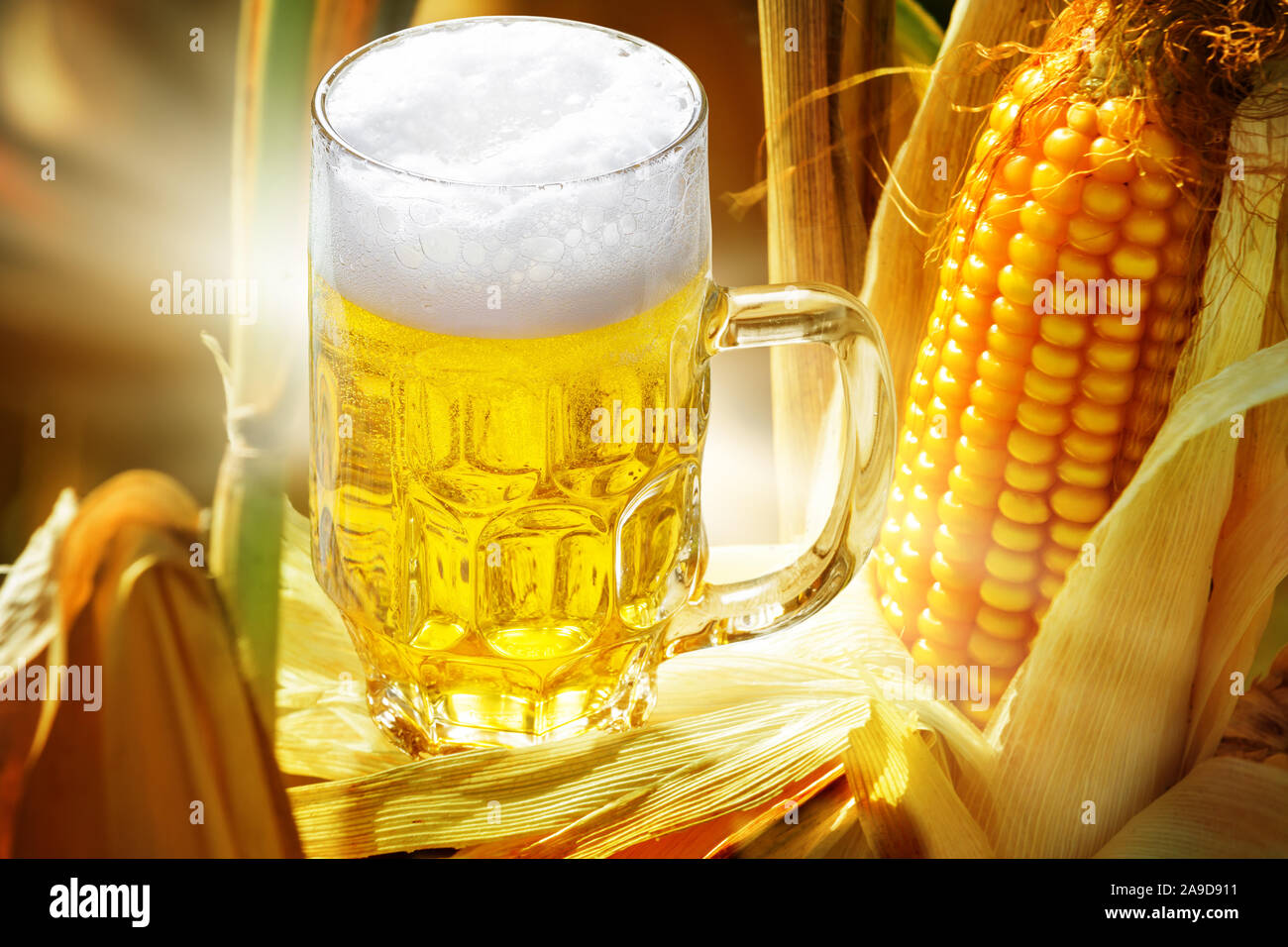 Beers Made With Maize Outlets Online www.meesenburg.kz