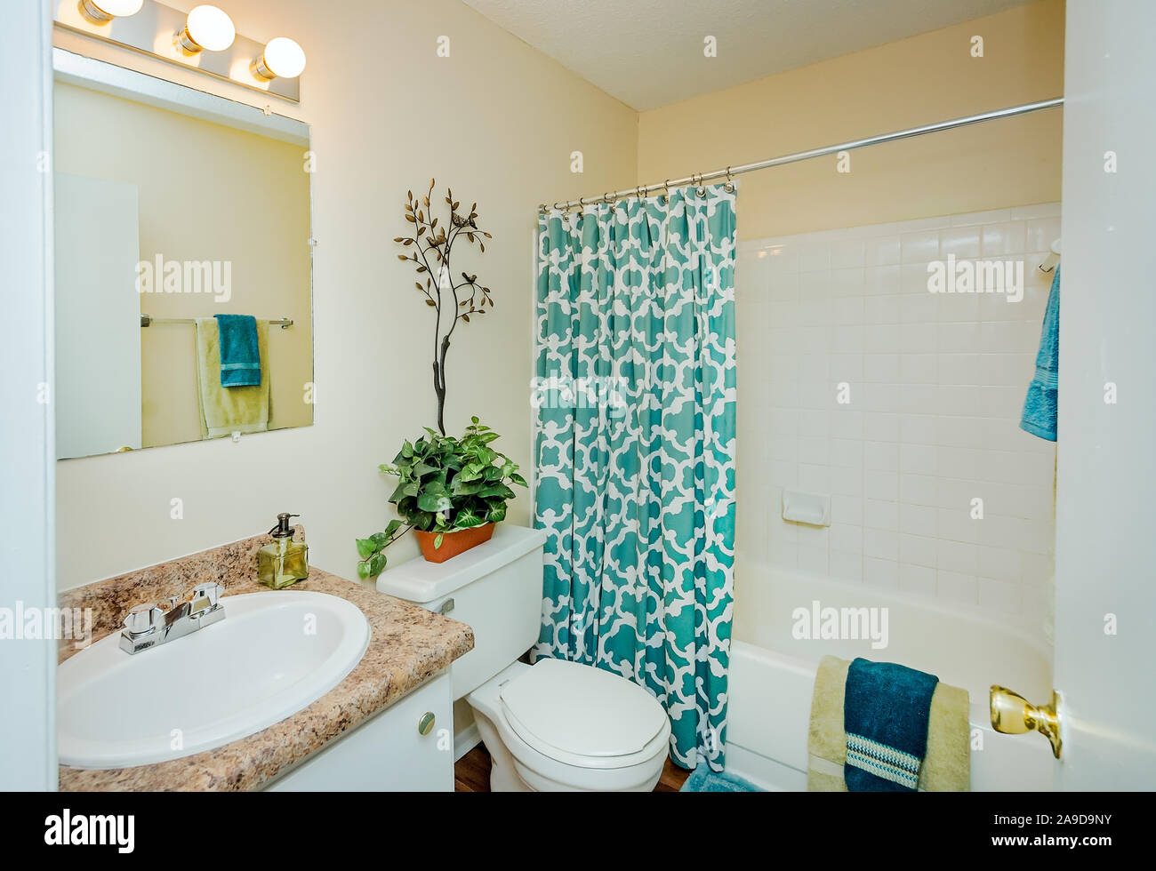 A bathroom at Autumn Woods Apartments, located on Foreman Road in Mobile, Alabama. The apartment complex is owned and operated by Sealy Management. Stock Photo