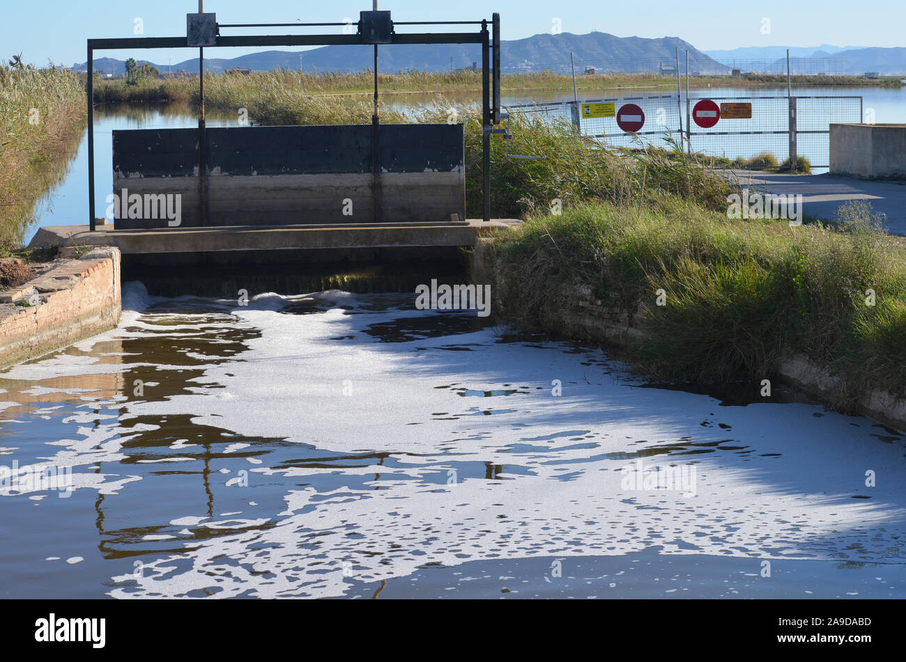 Water pollution in La Albufera natural park, Valencia region (eastern Spain Stock Photo Alamy