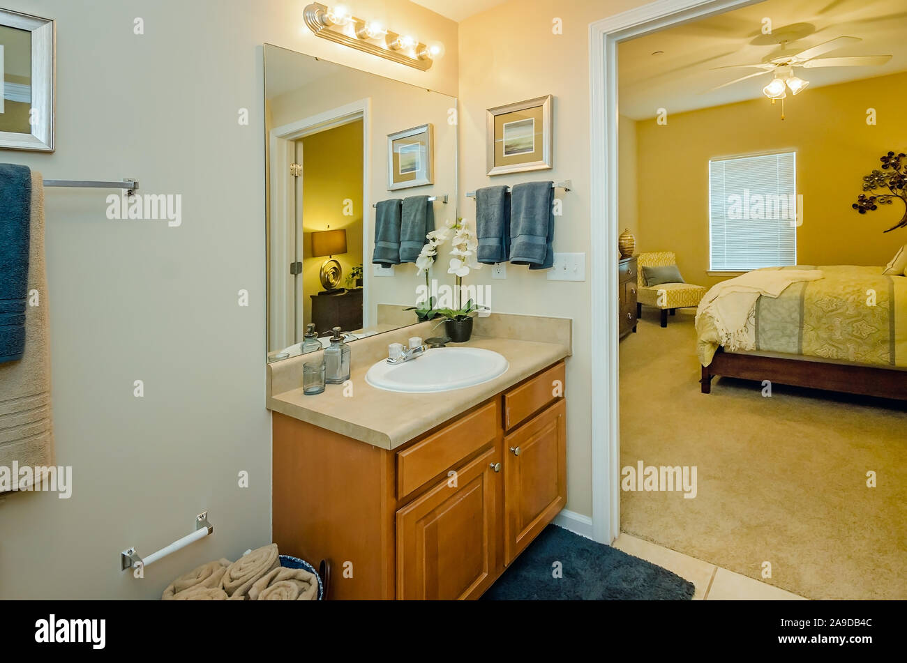 The Master Bathroom And Master Bedroom Is Pictured At