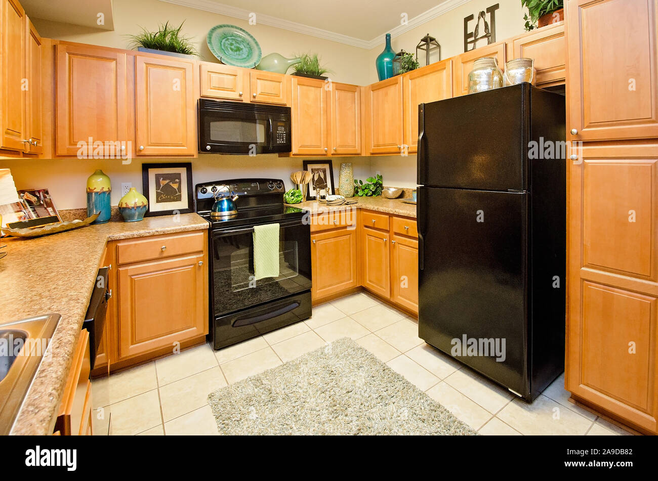 https://c8.alamy.com/comp/2A9DB82/the-kitchen-features-granite-countertops-electric-appliances-and-wood-cabinets-at-cypress-cove-apartment-homes-in-mobile-alabama-2A9DB82.jpg