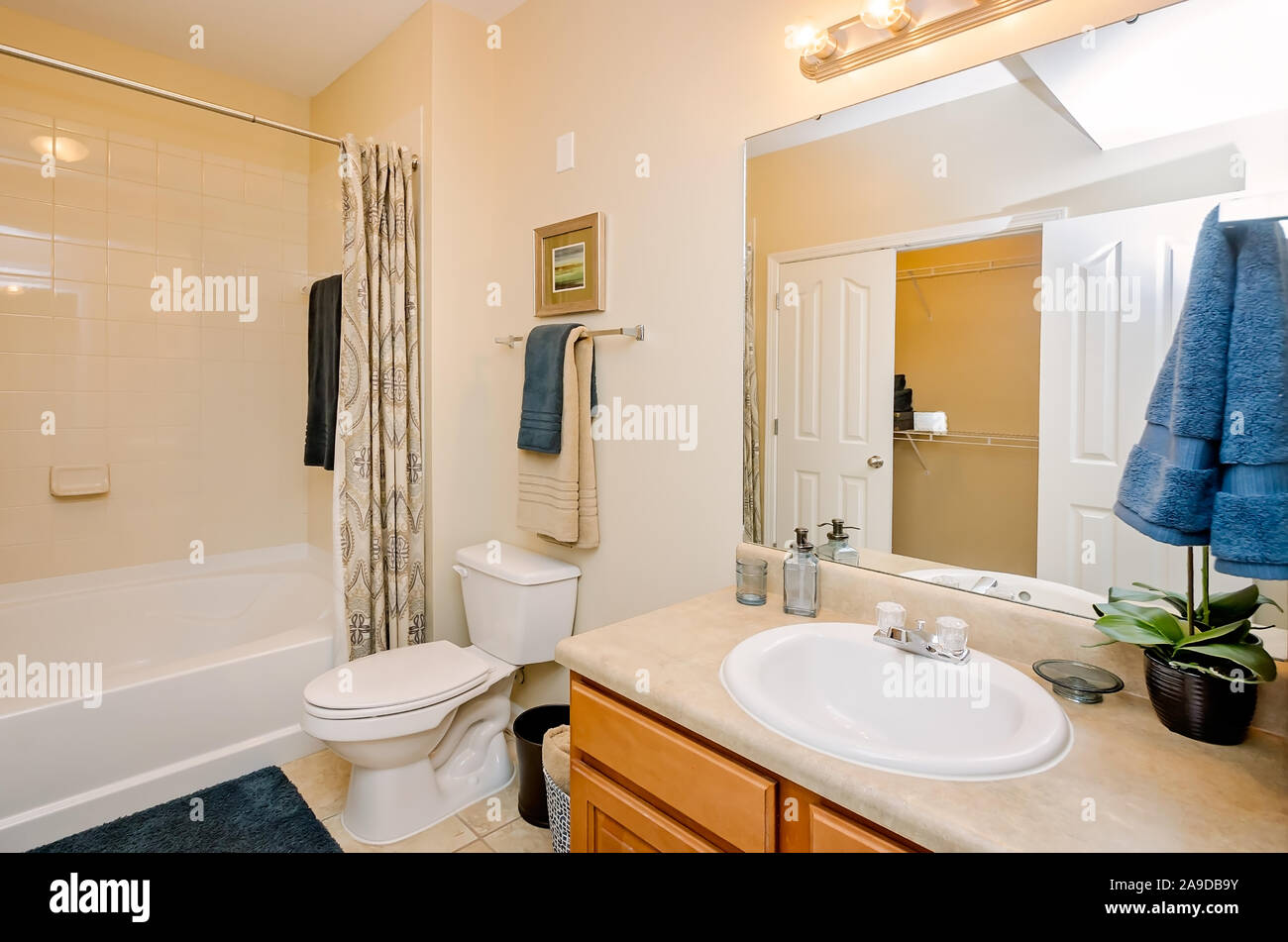 A bathroom sink, toilet, and shower is pictured at Cypress Cove Apartment Homes in Mobile, Alabama. Stock Photo