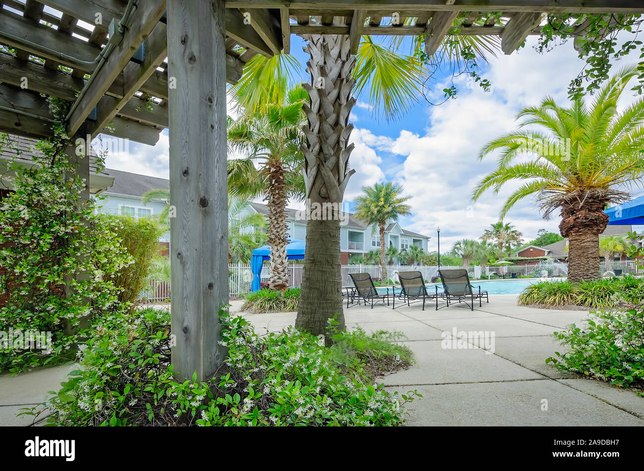 Vines grow around a wooden pergola at Cypress Cove Apartment Homes in