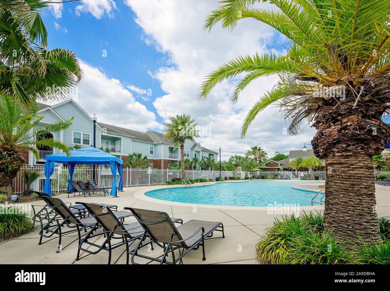 A large, curvy builtin zero entry swimming pool is a focal point for
