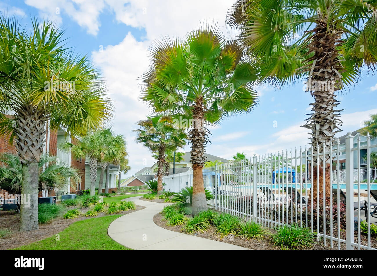 A curving sidewalk leads residents between the swimming pool and