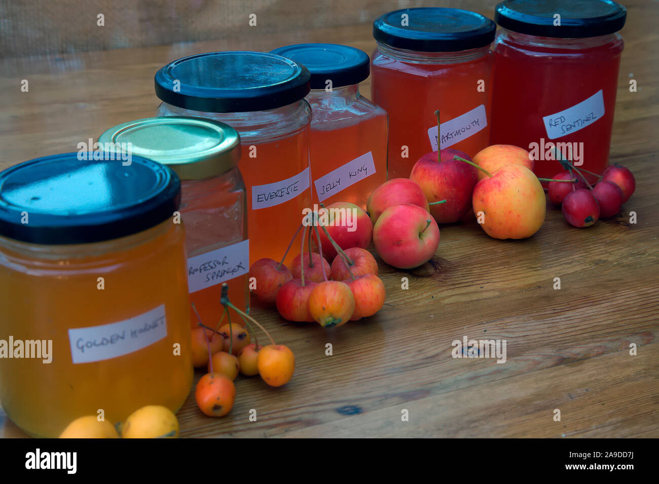 Crab Apple Jelly and the fruits used to make them - Malus 'Evereste