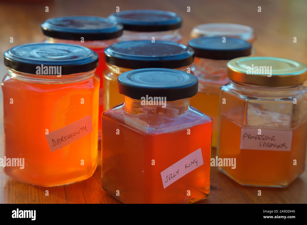 Home made Crab Apple Jelly Malus 'Jelly King', Malus x zumi