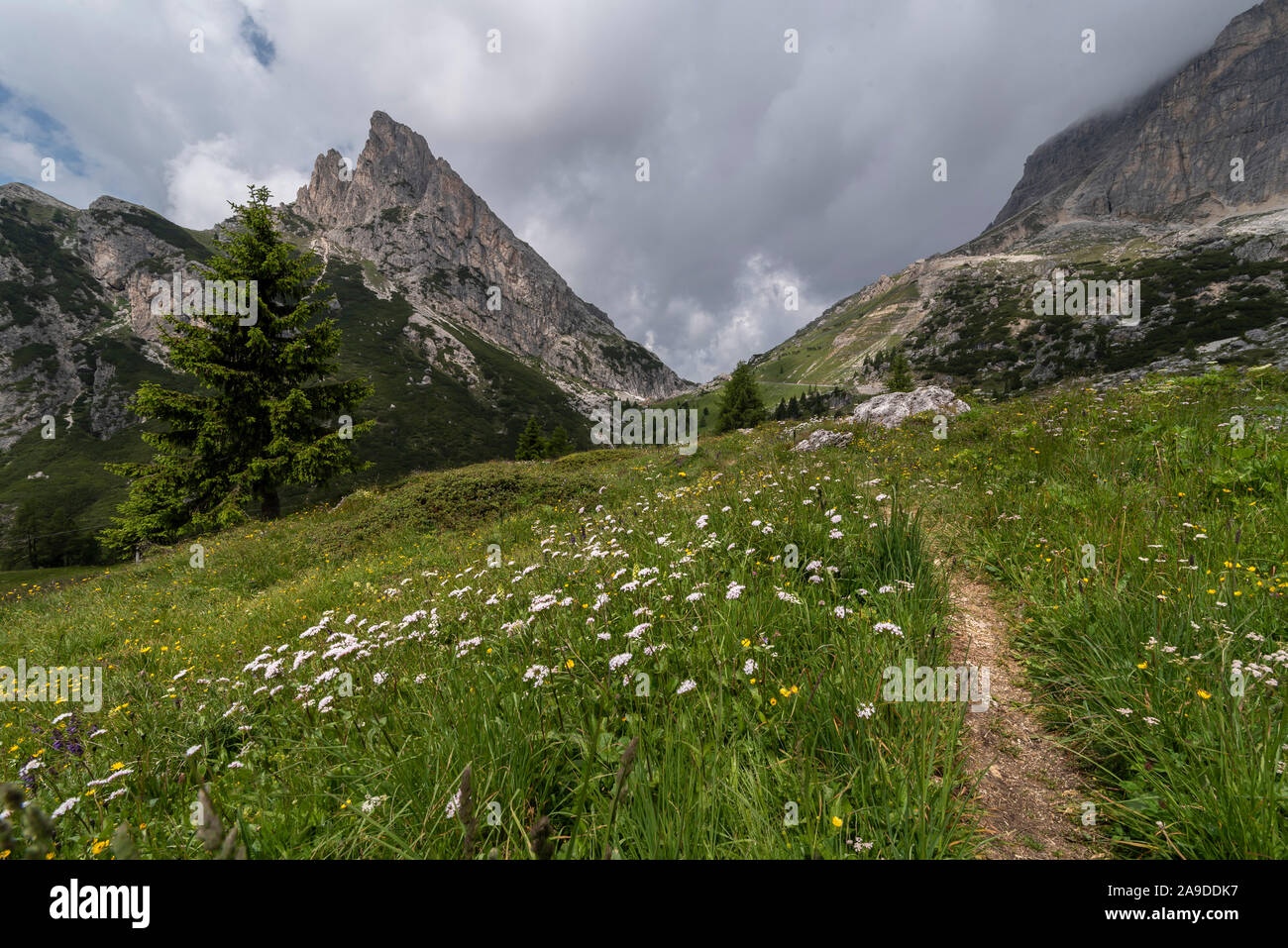 Landscape in the Dolomites Stock Photo - Alamy