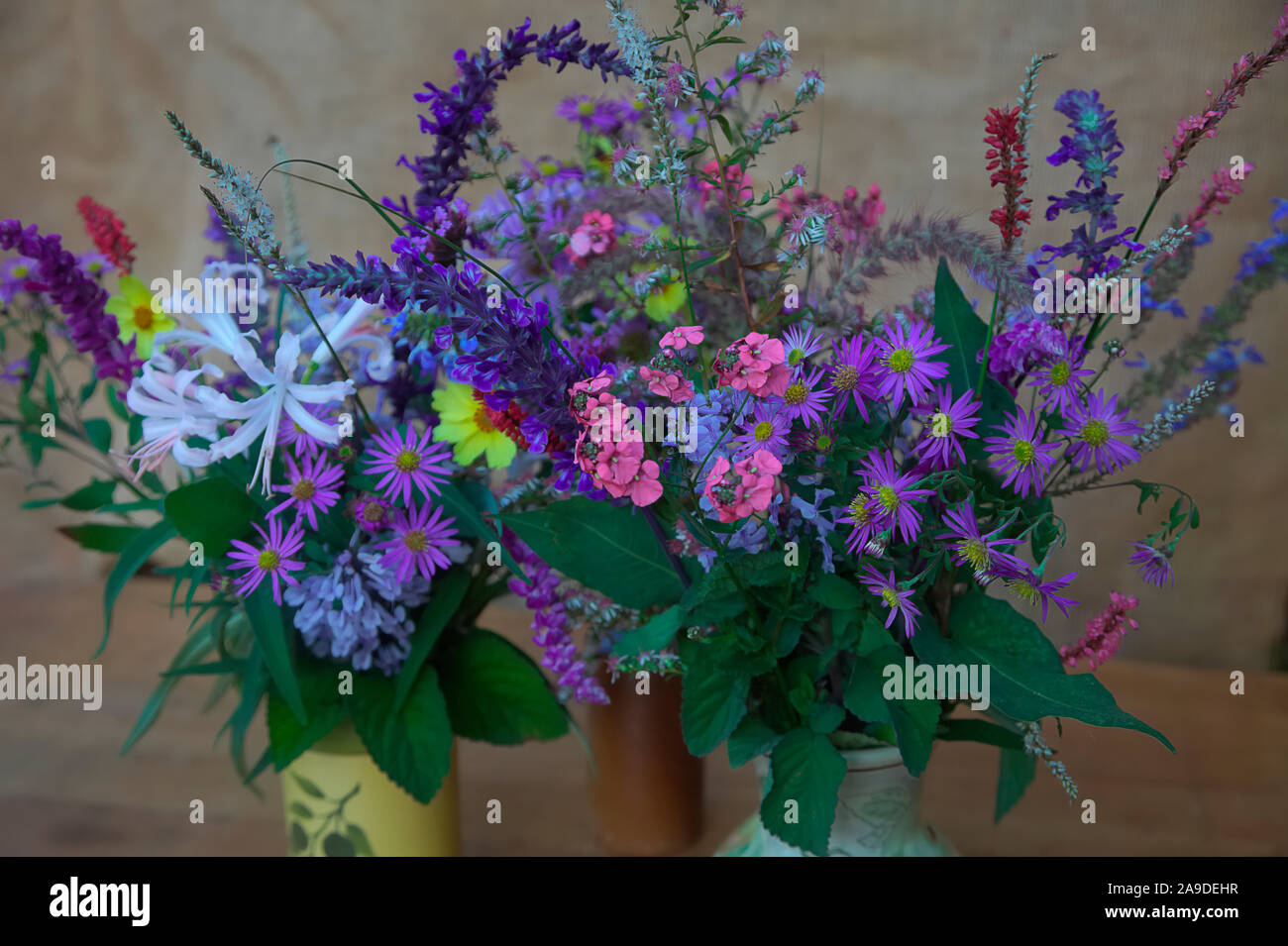 A vase of late October flowers from the garden including Salvia leucantha 'Midnight', Plectranthus zuluensis, Salvia Indigo Spires, Persicaria amplexi Stock Photo