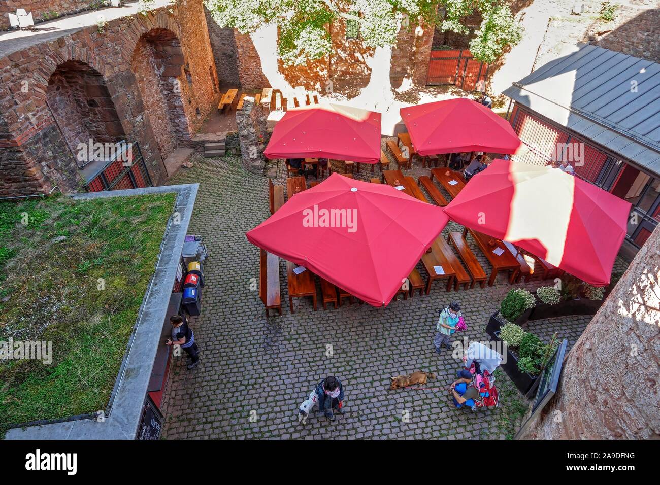 Café in the castle ruin Montclair above the Saar loop near Mettlach, Saarland, Germany Stock Photo