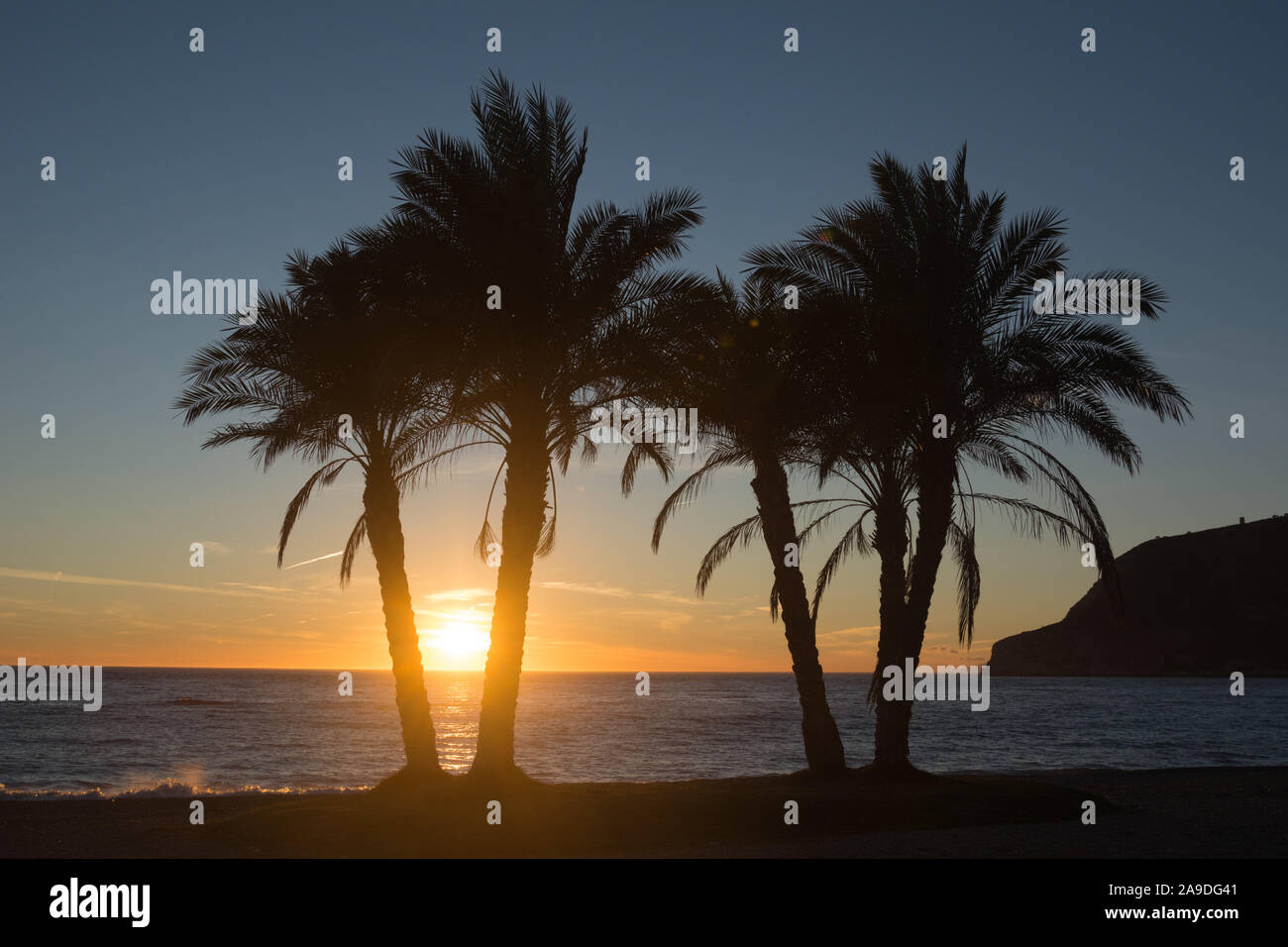 The setting sun touches the sea behind some palm trees on La Herradura Beach, Andalusia, Spain. Stock Photo
