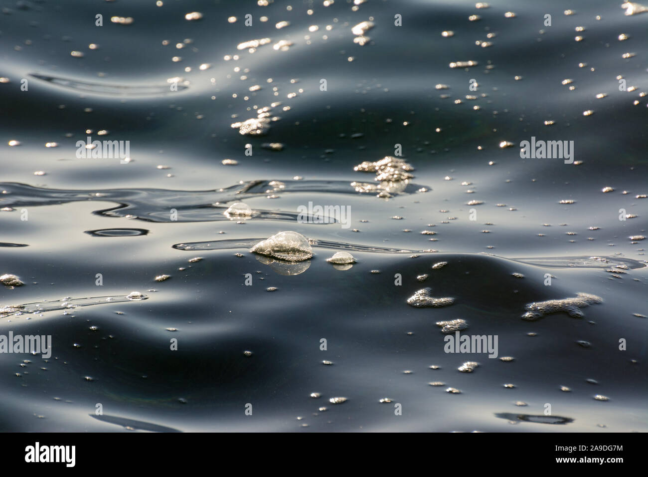 Abstract study of bubbles and foam forming on sea water, very shallow depth of field. Stock Photo