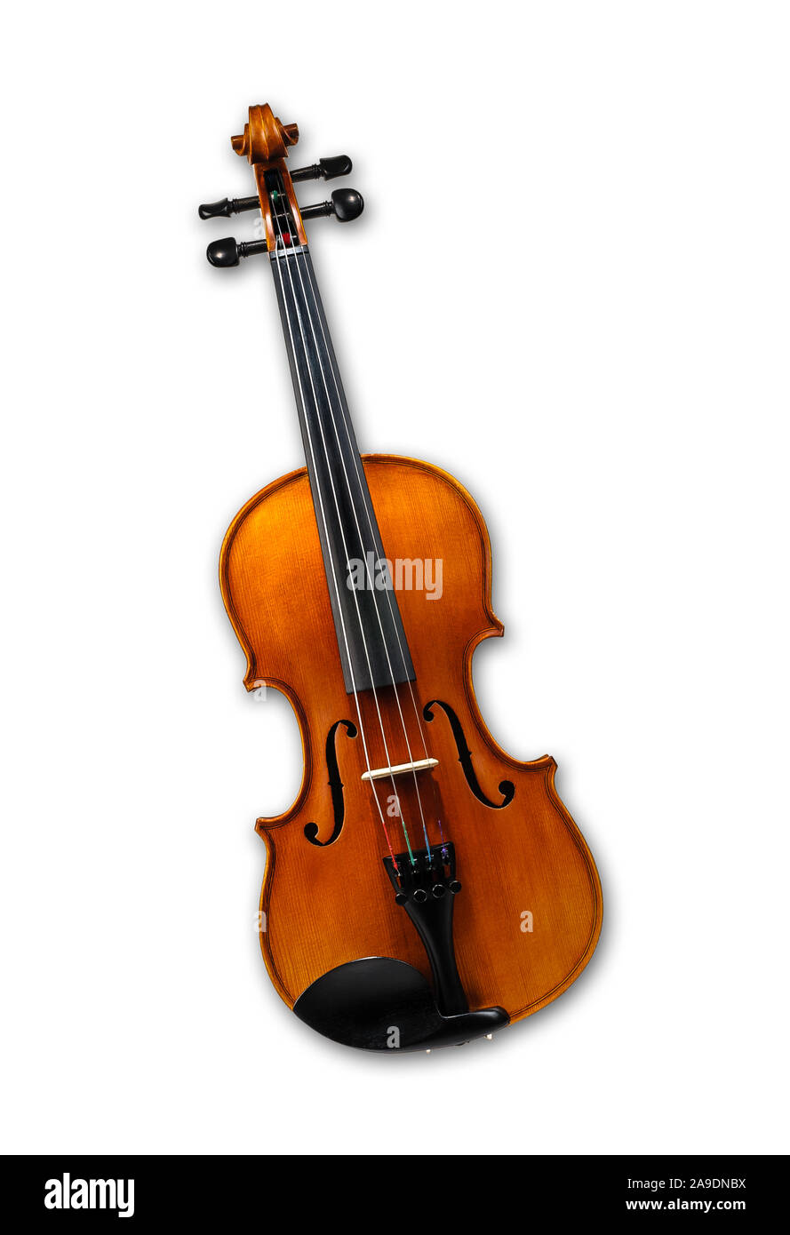 Violin isolated on white backgroundsong Stock Photo