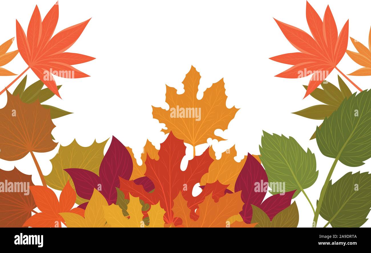 Isolated autumn leaves vector design Stock Vector Image & Art - Alamy