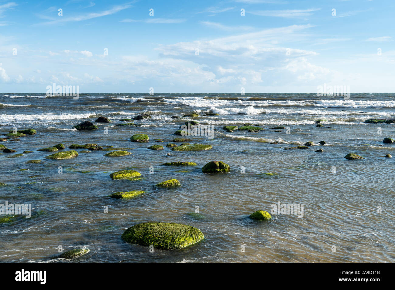 Bornholm, Dueodde, coastal landscape, mossy stones Stock Photo