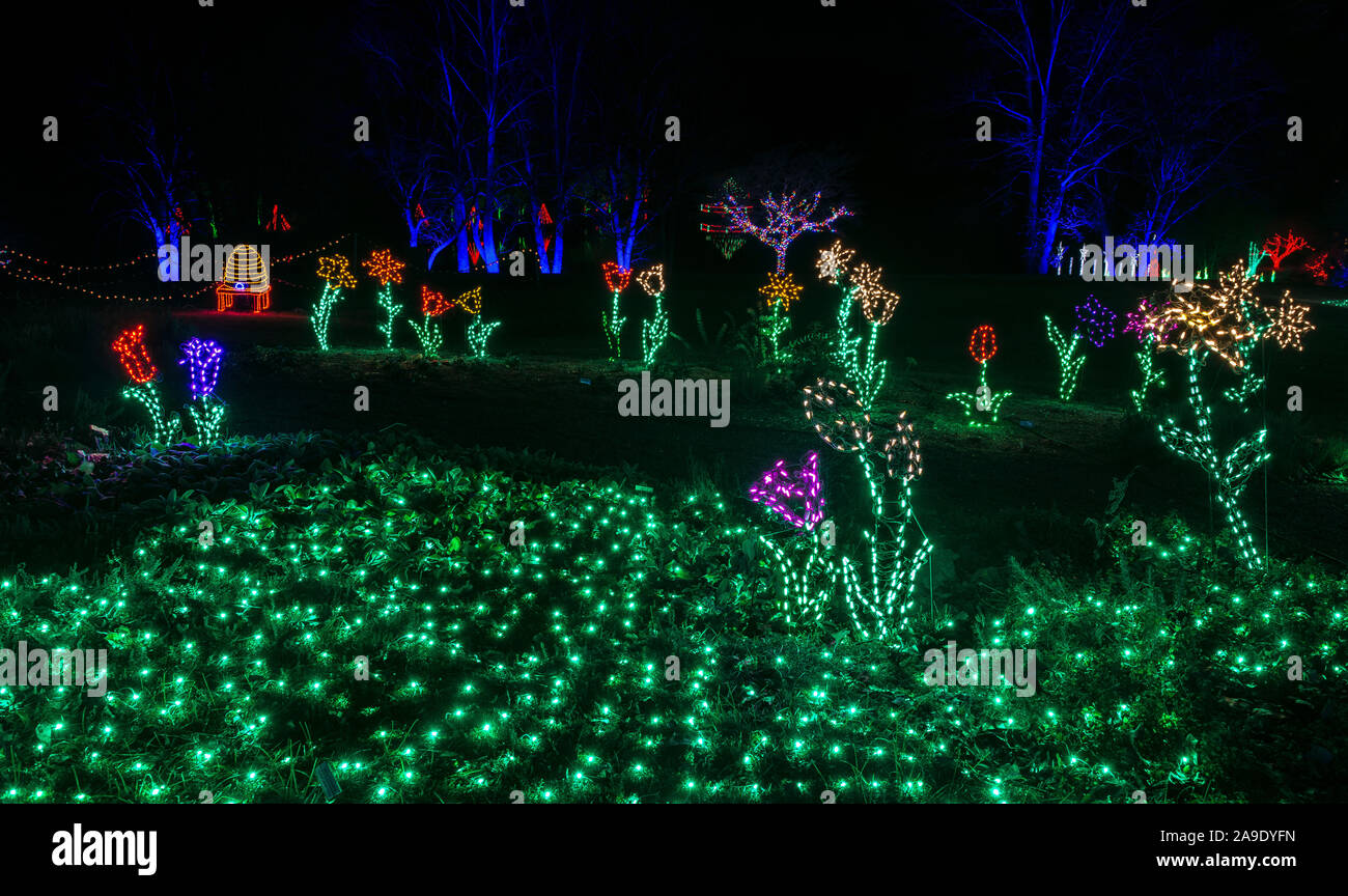 Giant Art Flowers Beehive And Green Grass Christmas Lights