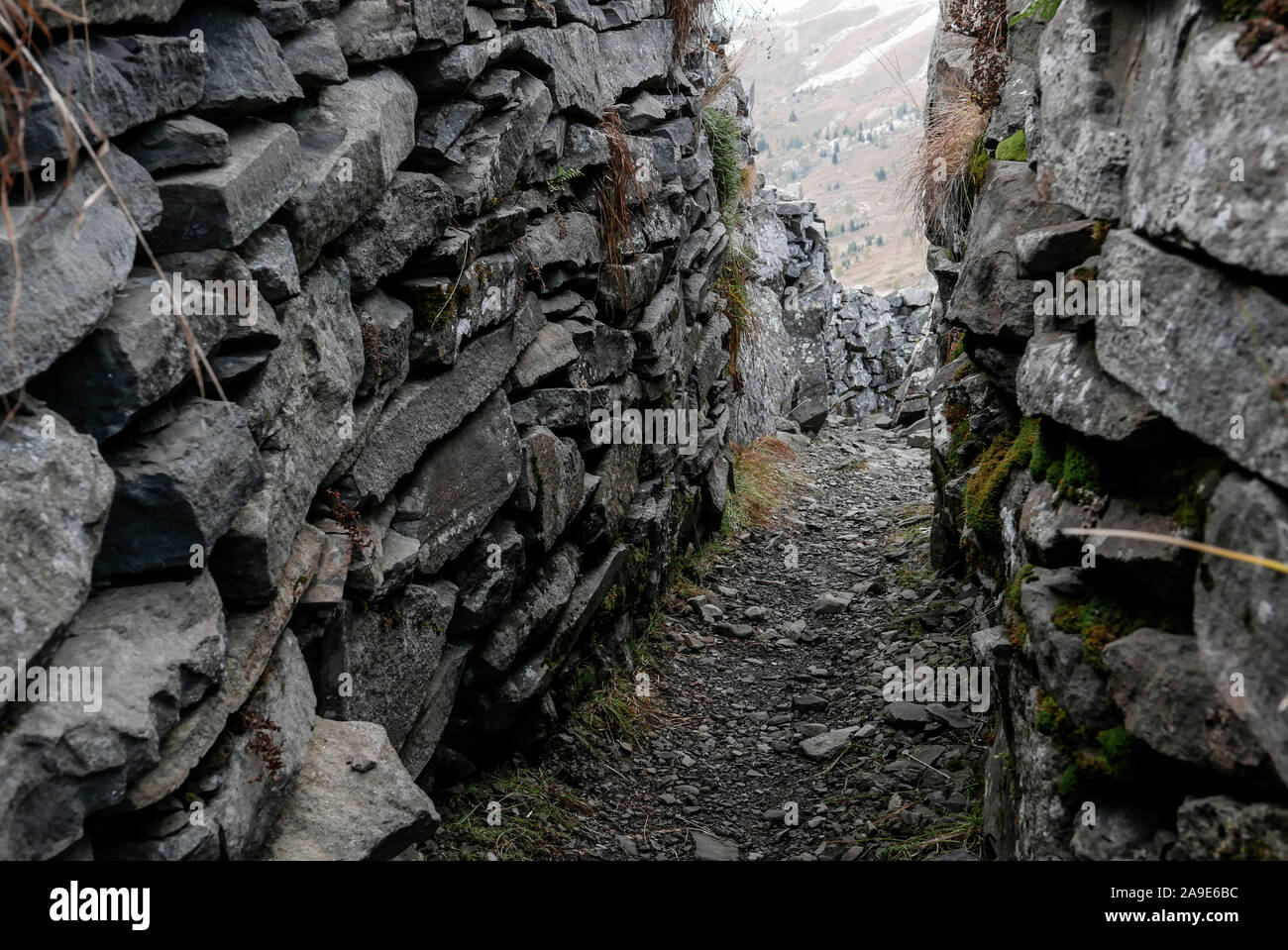 Trench in the Col di Lana above the Siefsatttel, Fanes, Belluno Stock Photo  - Alamy