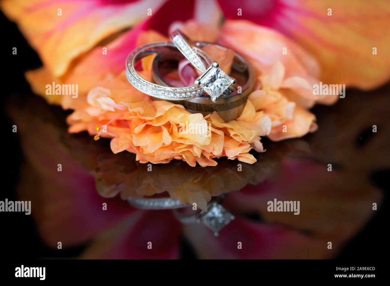 Wedding rings on an orange hibiscus flower, with a reflection on the black surface Stock Photo