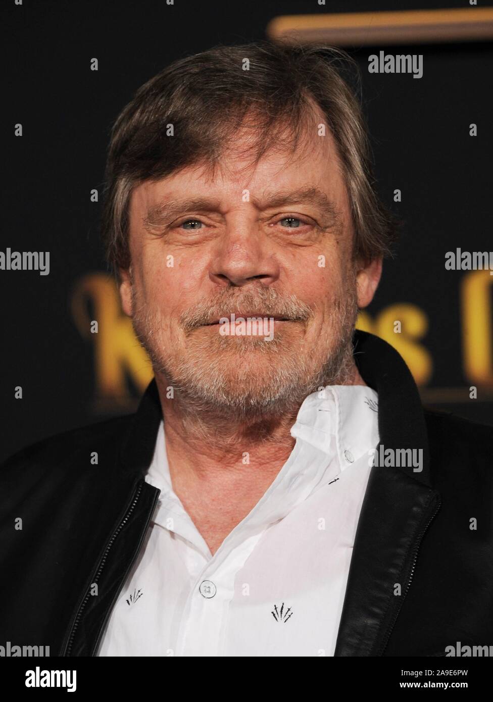 Los Angeles, CA. 14th Nov, 2019. Mark Hamill at arrivals for KNIVES OUT Premiere, Regency