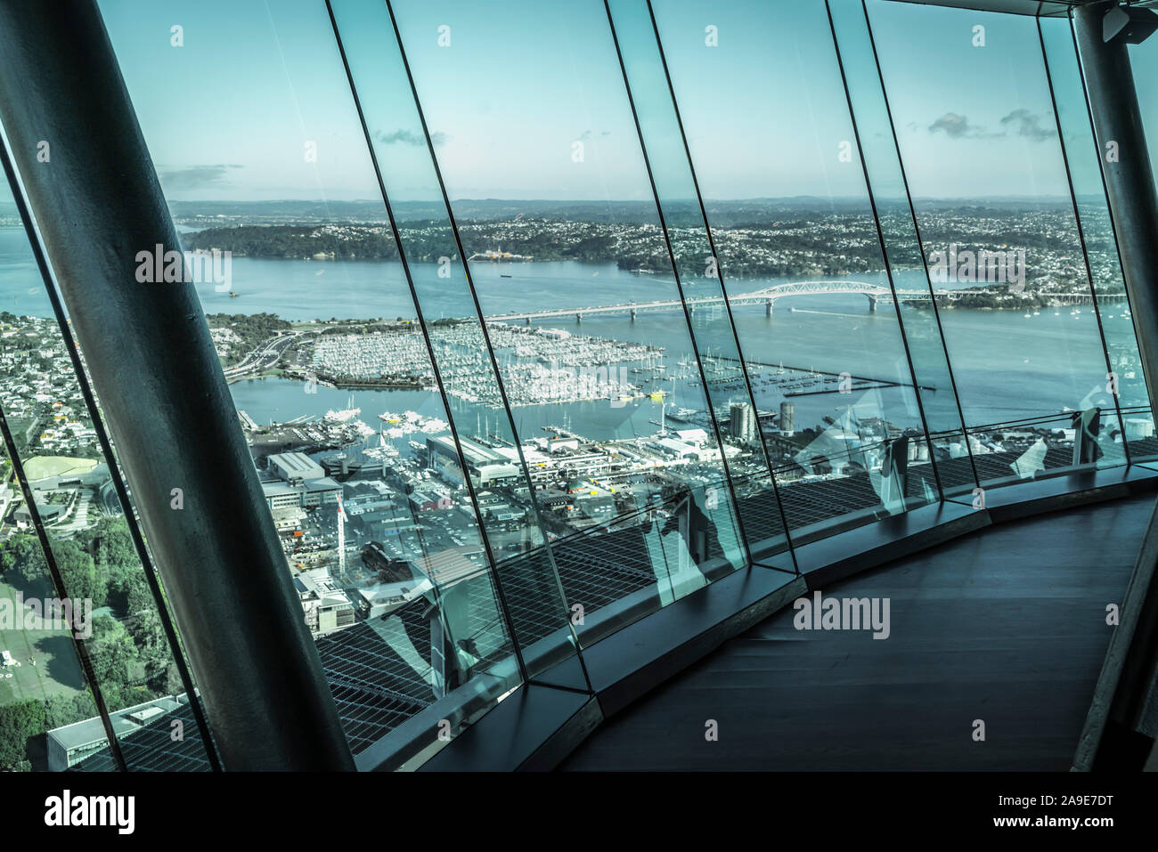 View of the Sky Tower in Auckland Stock Photo