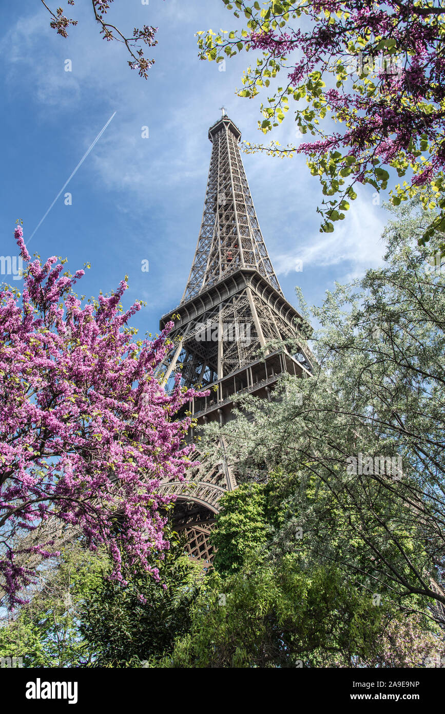 The Eiffel Tower in nice weather in the spring, Paris Stock Photo