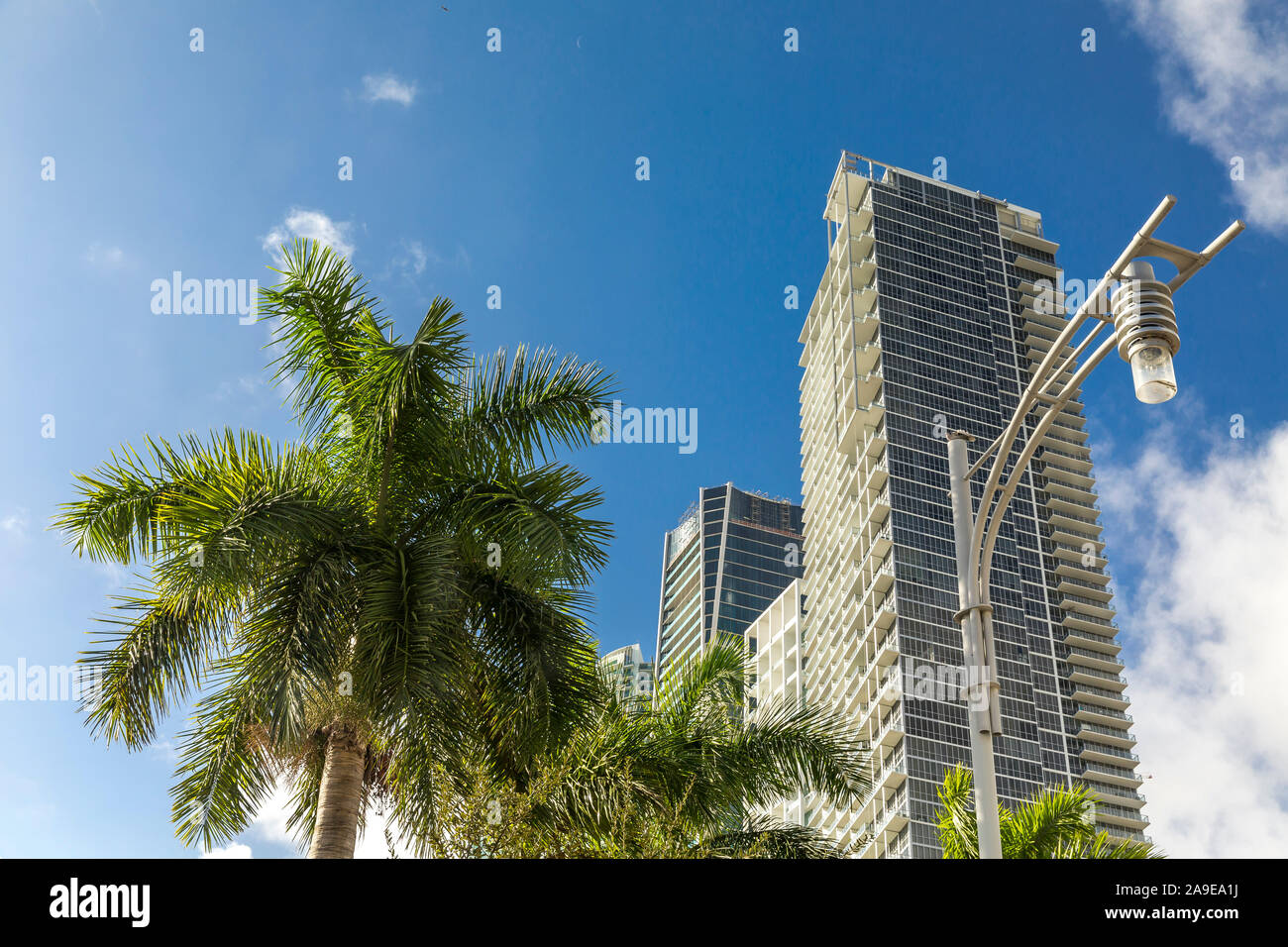 Street lights with palm and skyline, centre of the city, Miami, Miami