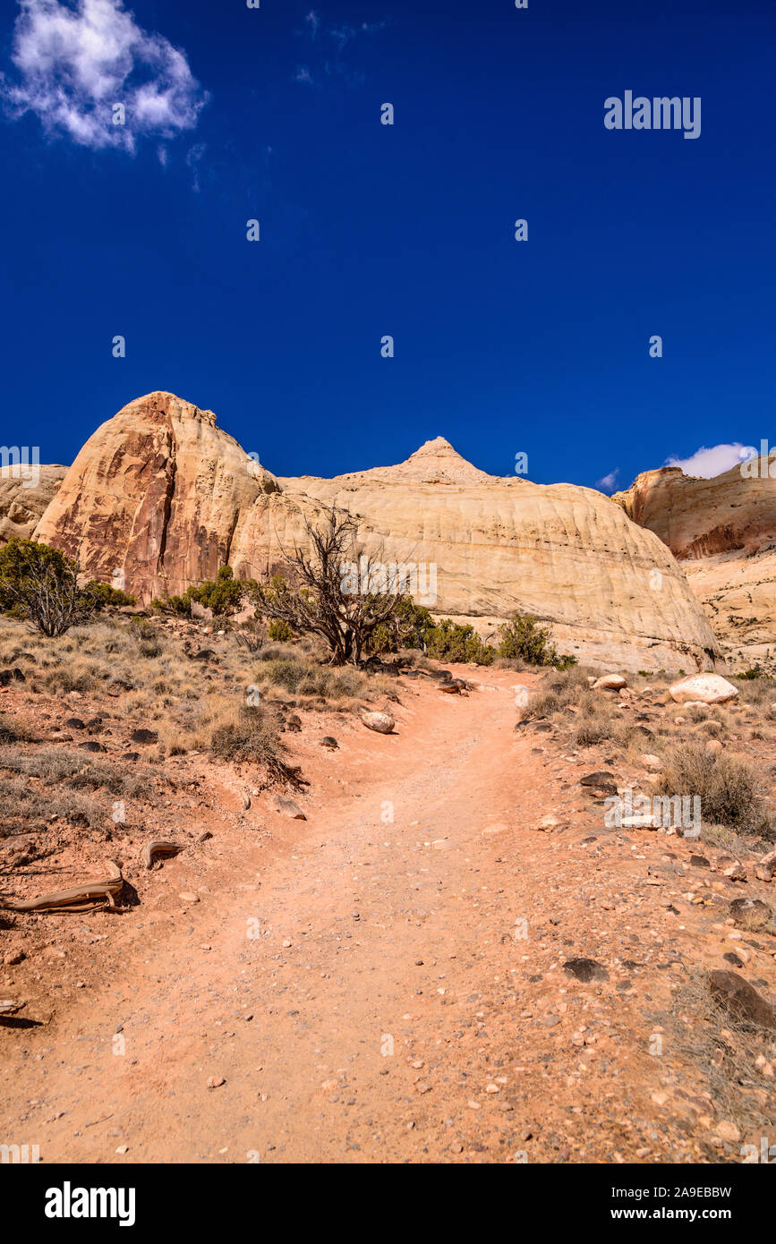 The USA, Utah, Wayne County, Torrey, Capitol Reef Nationwide park