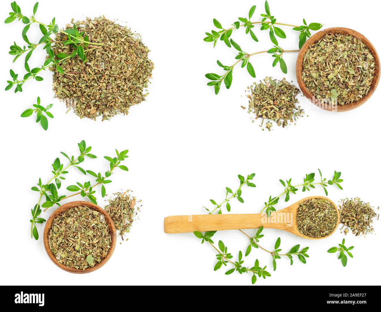 Set or collection dried thyme leaves with fresh thyme isolated on white