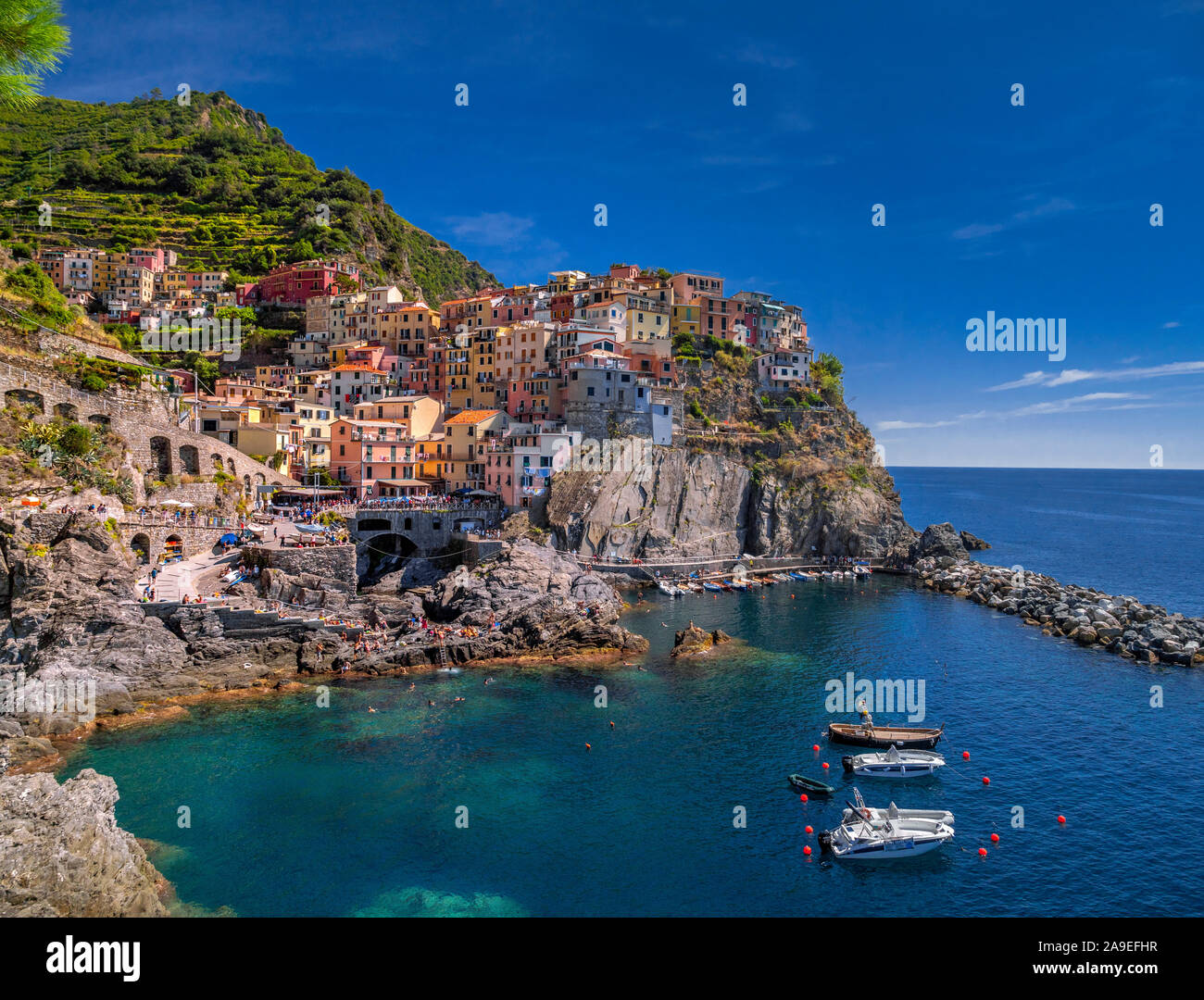 View Of Harbour And Colourful Houses Manarola Cinque Terre La Spezia Liguria Italy Europe Stock Photo Alamy