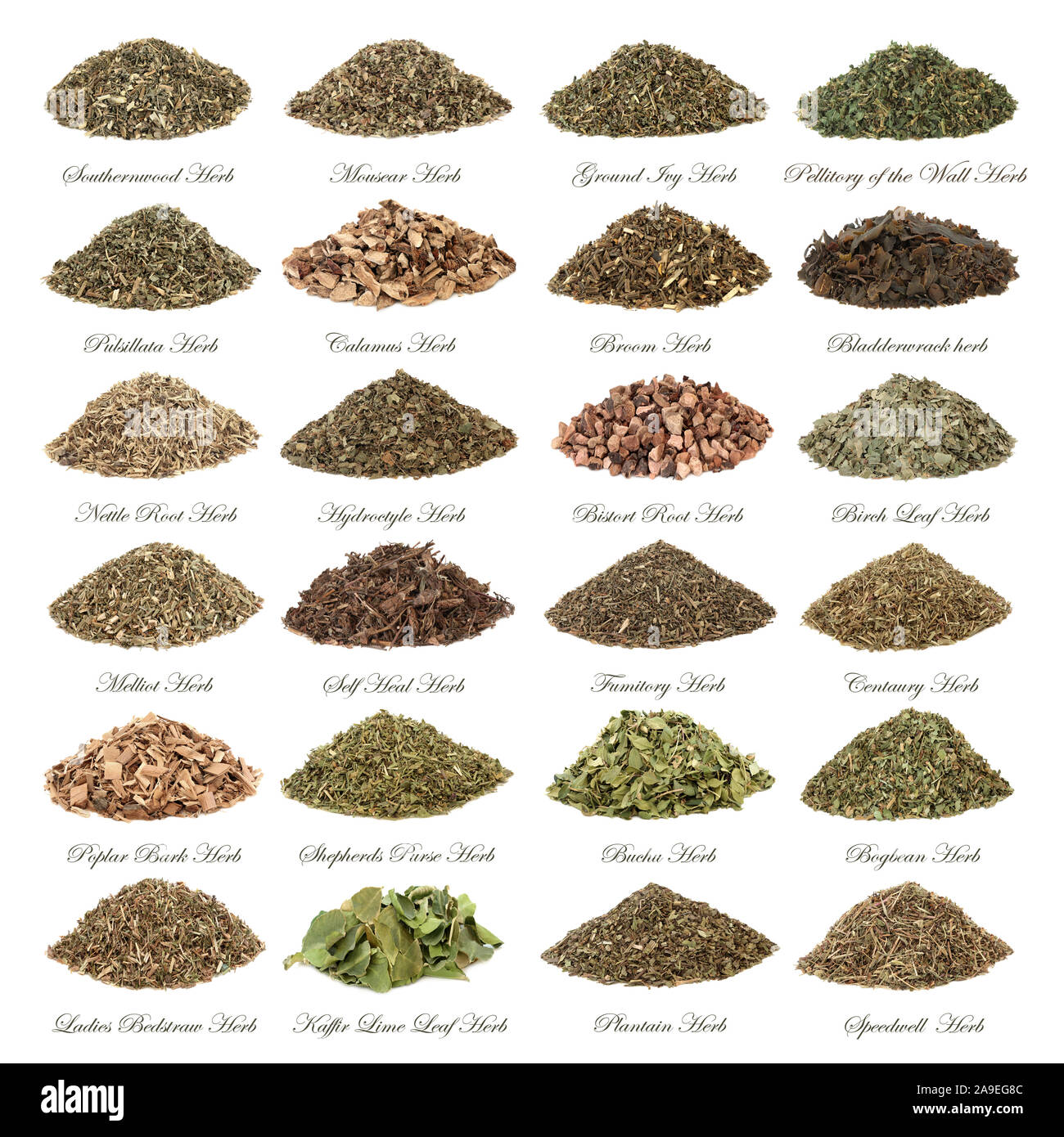 Large herb selection used in alternative herbal medicine in piles