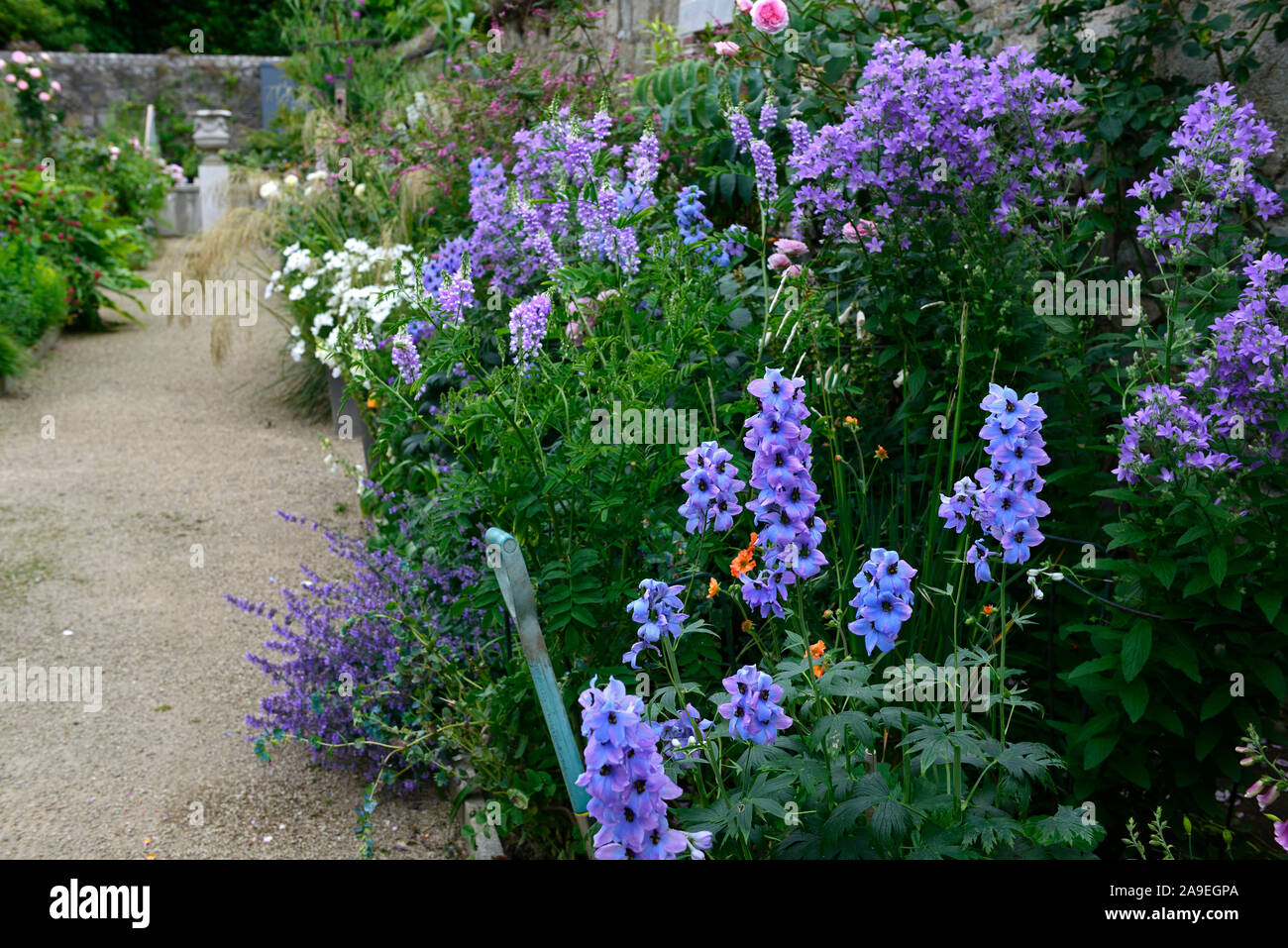 The Dillon Garden, Helen Dillon, Plantswoman,Dun Mhuire,Seafield Ave