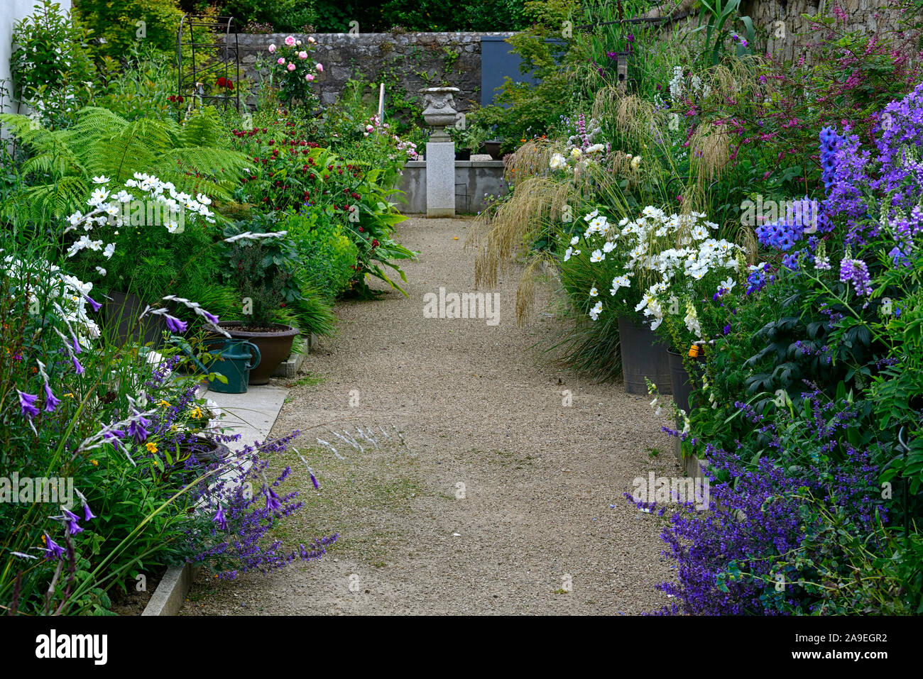 The Dillon Garden, Helen Dillon, Plantswoman,Dun Mhuire,Seafield Ave