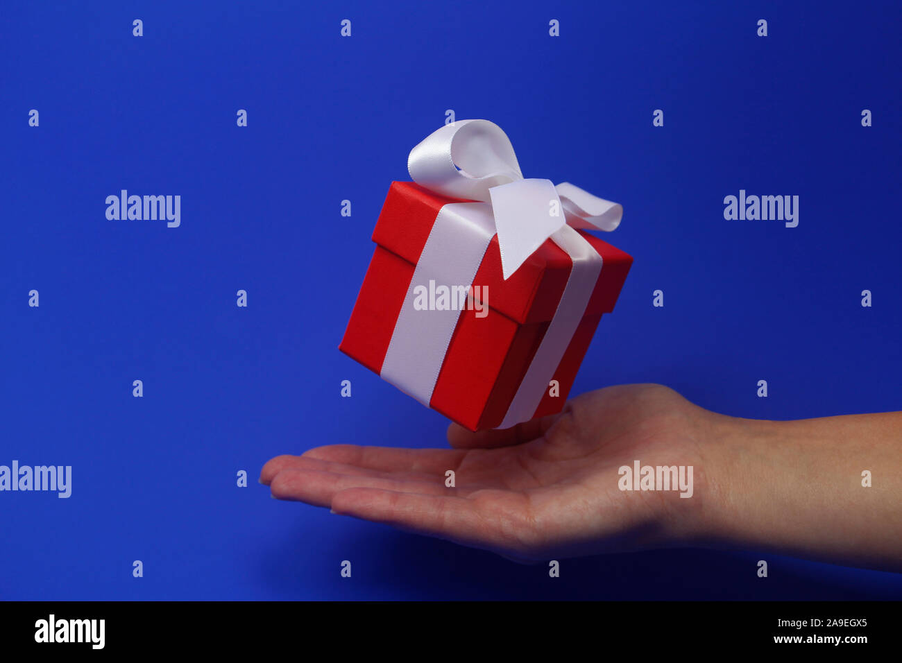 Red gift box with a white bow on a blue background. The box is closed by a lid. Gift flies in the air. Beneath the gift is a female hand. Concept. Giv Stock Photo