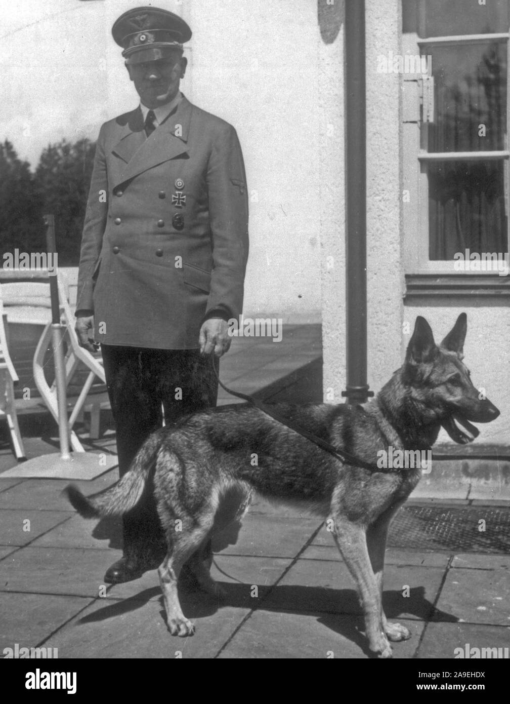 Eva Braun Collection (cetrnaest) - Adolf Hitler and his German Sheperd dog ca. late 1930s or early 1940s Stock Photo