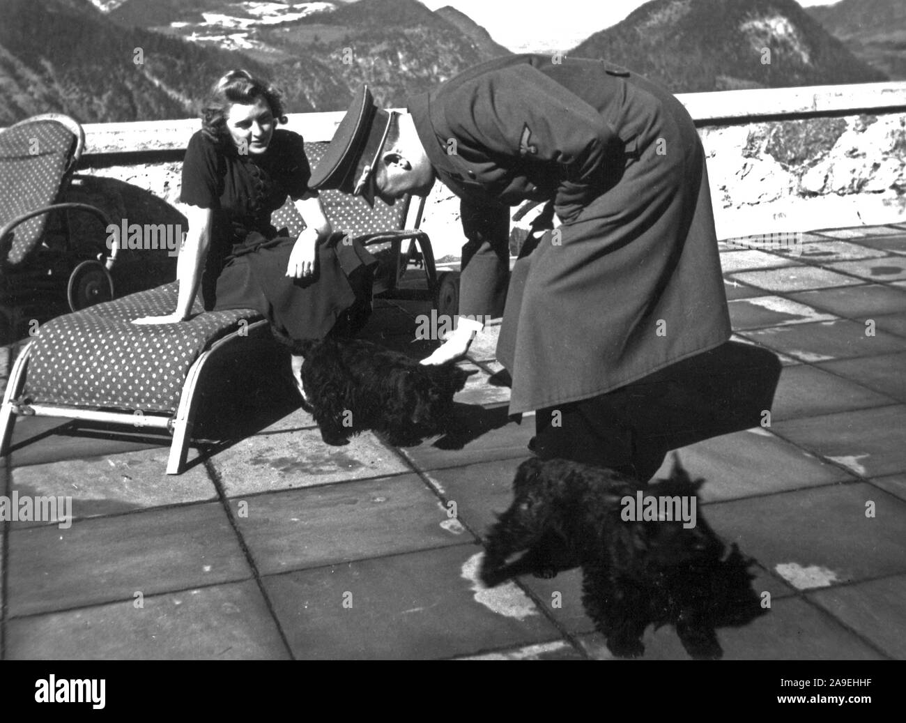 Eva Braun Collection (dvadvadaset) - Adolf Hitler petting Eva Braun's Scottish Terrier dogs ca. late 1930s or early 1940s Stock Photo