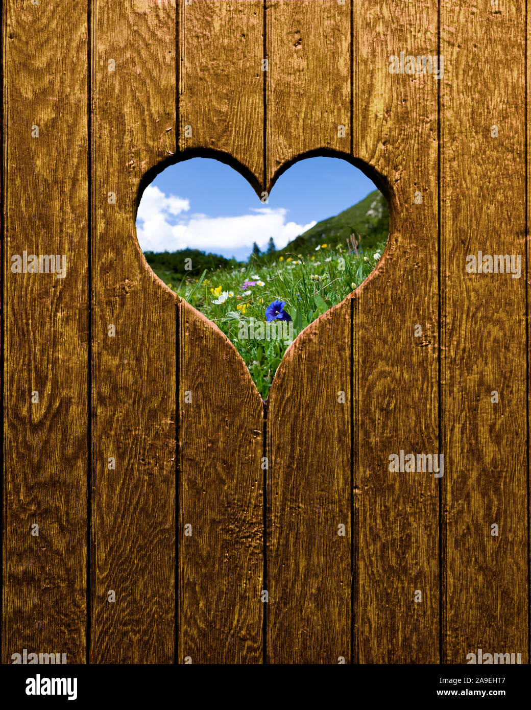 Heart with edelweiss Stock Photo